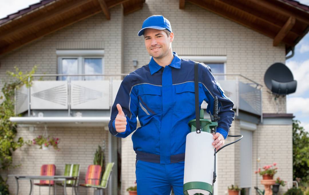 best pest control atticrewwa.com