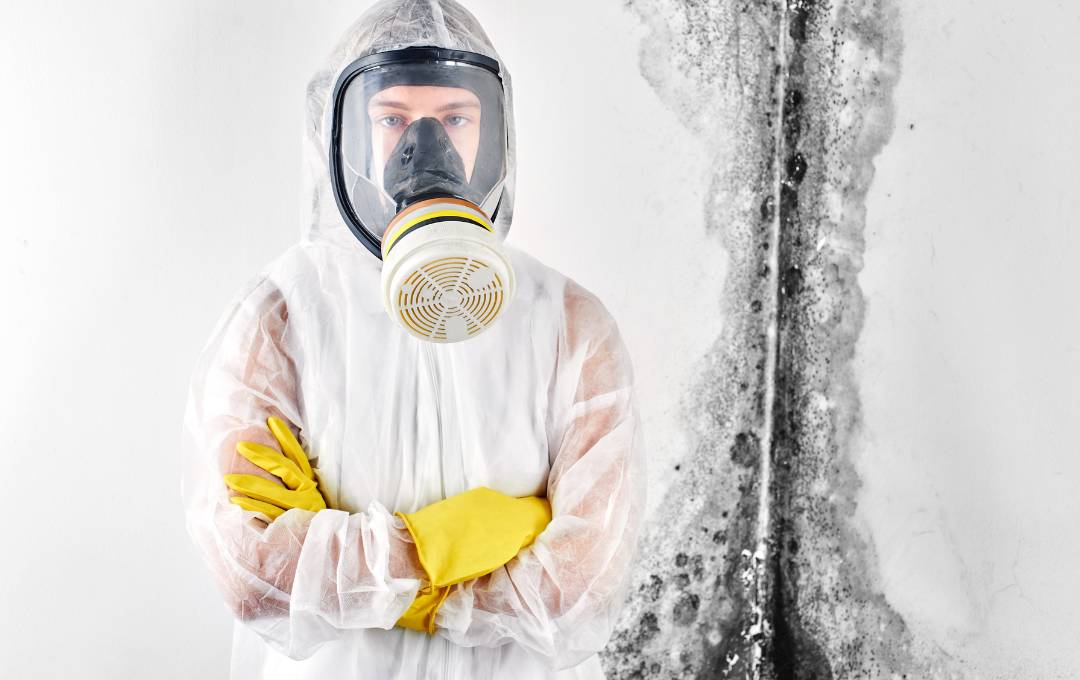 mold remediation olympia wa by atticrewwa.com