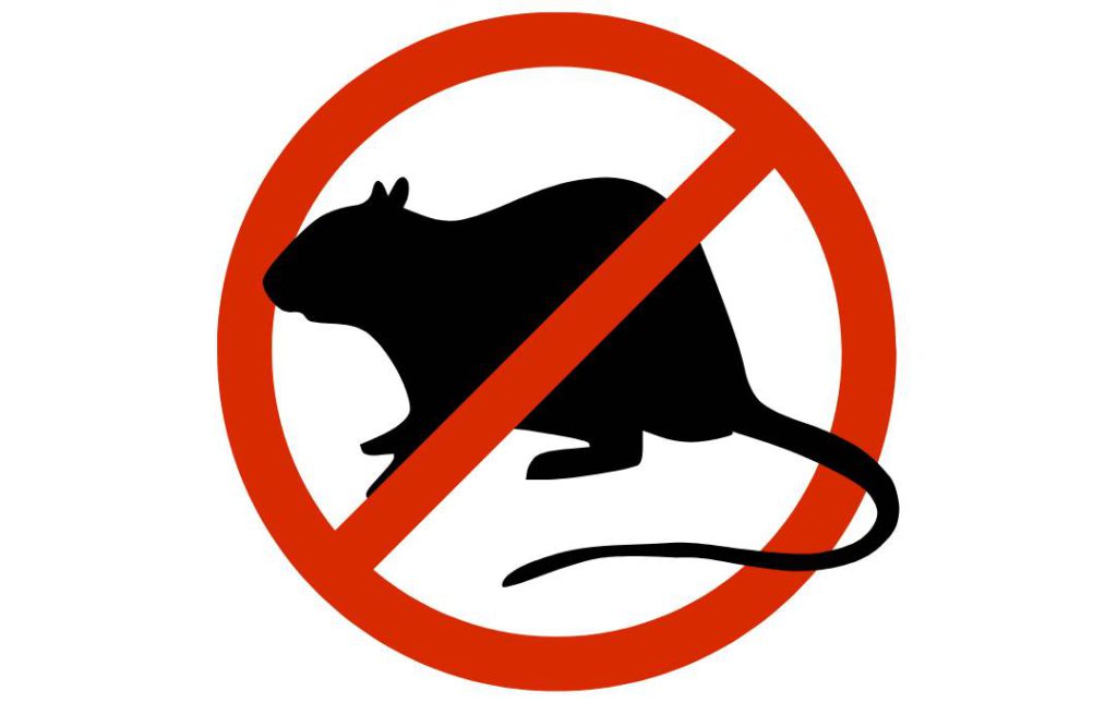 rodent control