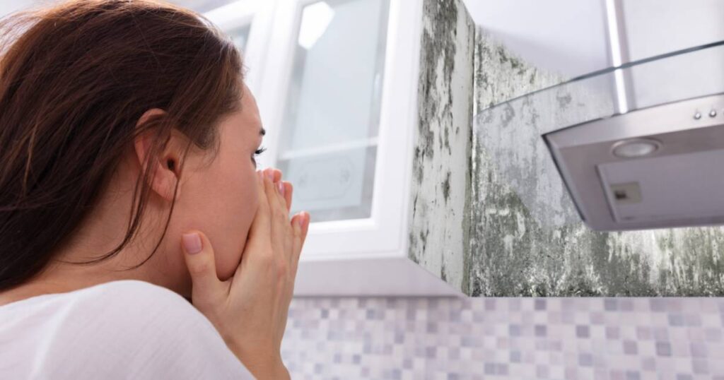 mold inspector seattle