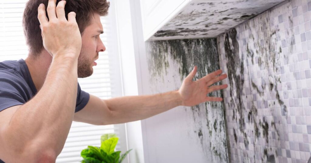 mold remediation seattle