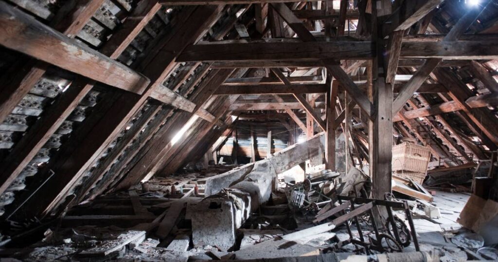 attic with mold