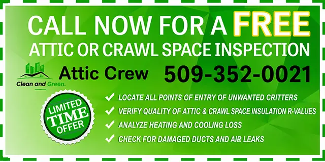 attic crawl space free inspection offer